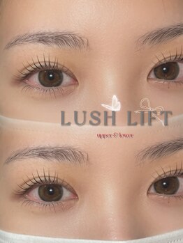 アテアイラッシュ 堺市駅店(ate eyelash)/まつげパーマ(上下)