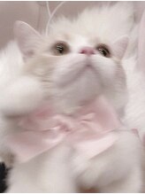 ジョリィ ルミエール 八王子店(Joli Lumiere)&nbsp;松本 指名330円