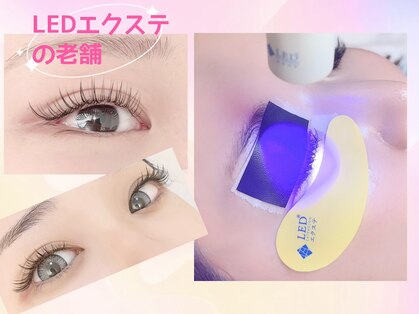 フェリマ ナナ(felyma vii)の写真