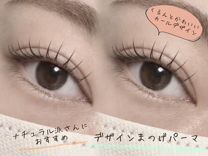 リノ(Lino)の写真