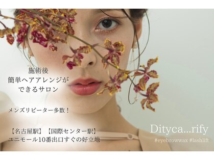 ディティカ リフィ(Dityca rify)の写真