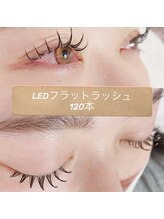 レアレアケー(Lea Lea_K)/LEDフラット120本