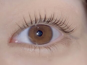 シュピネ バイ アルブル エト シミー(Choupinet by Arbre et chimie)/パリジェンヌラッシュリフト