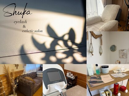 シュカ(Shuka)の写真