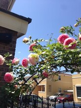 ティーケーエム エンザイム スパ(TKM Enzyme Spa)/ローズアーチ