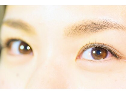 光の写真