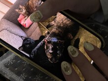 ランド ネイル 博多(LAND)/にゃんこねいる☆