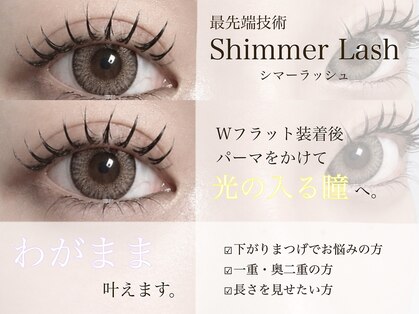リノ(Lino)の写真