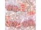 シアネイル すすきの店(SIA NAIL)の写真