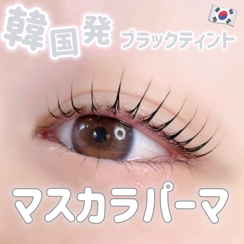 [定額]【韓国初★】まつげパーマ+ブラックティント+アイシャンプー付\5,280