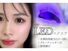 【6月限定】持続力1.5倍！◎LEDバインドロック80束¥7500→6800