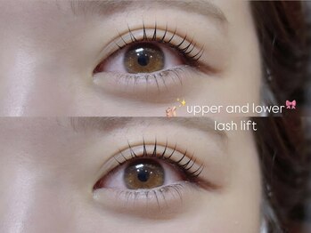 アイブロウ アンド アイラッシュ アイランド(ISLAND)/上下ラッシュリフト
