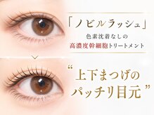 エルア 梅田堂山店(elua)の雰囲気（まつ毛パーマ/まつげパーマ/パリジェンヌ/眉毛/アイブロウ/眉）