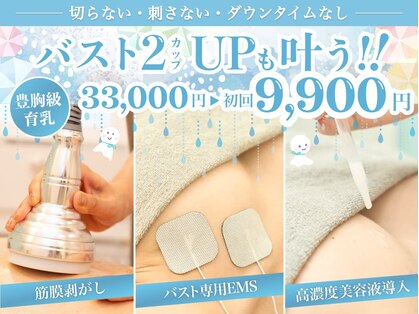 美人バスト アンド ヒップアップ 広島店の写真
