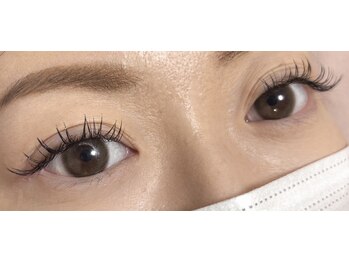 ダリア(Dahlia)/フラット１４０本★