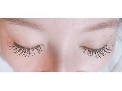 デイジー(Daisy)の写真