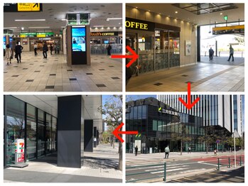 シリーラッシュ 武蔵小杉/道案内（東急線でお越しの方）