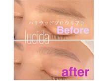 ルシーダギンザエスト(lucida ginza est)/ハリウッドブロウリフト[眉毛]