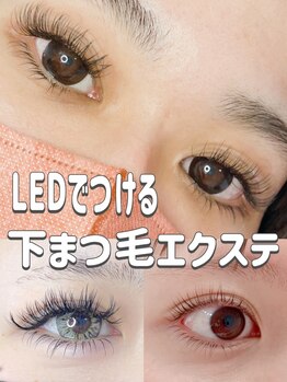 レアレアケー(Lea Lea_K)の写真/下まつげもエクステをつけてパッチリ目元に♪マスカラなしで目力UP！中顔面短縮にも効果的◎