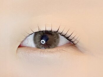 リノ カヒリ アイラッシュ(Lino kahili)/ラッシュリフト