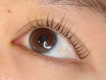 ラシク ゼロ 草加駅前(Lashiku Zero)/パリジェンヌラッシュ