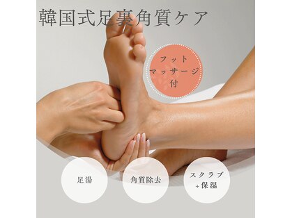 プレヴナンス(Prevenance)の写真