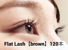 ハーゼ(Hase)/Flat Lash【Brown】120本