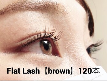ハーゼ(Hase)/Flat Lash【Brown】120本