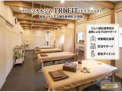 トリフィット(TRIFIT)の写真
