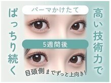 SNS大人気の韓国風束感まつげパーマ導入認定店舗[大和八木]