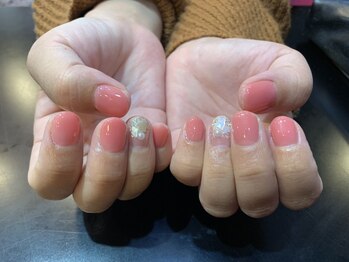 ボディ 高知店(BODY)/シェル