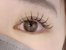 スリジエ(Cerisier)/フラットラッシュ