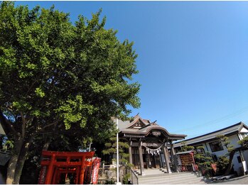 こうのせいたい/新緑の鵠沼伏見稲荷神社