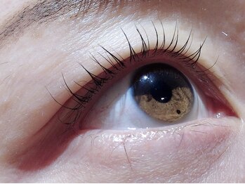 カラン 焼津店(CALIN)/ラスティングカール