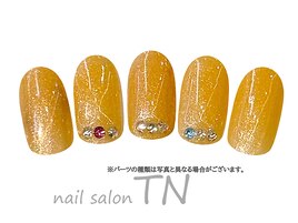 季節の定額4900円コ―ス