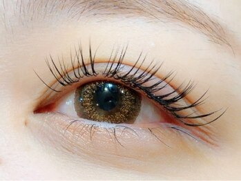 チッパー(CHIPPEr)/セーブル160本