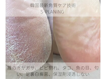 ロンディネ(Rondine)の写真