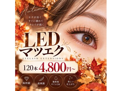 ワンダーウォール 別府店(WONDER WALL)の写真