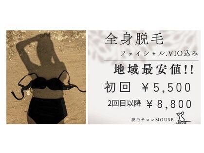 マウス(mouse)の写真