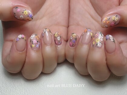 ブルーデイジー(BLUE DAISY)の写真