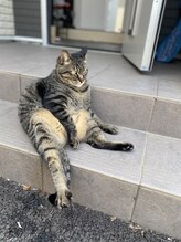 手足温浴トロン+/ねこもお出迎え★