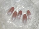 定額シルバーコース