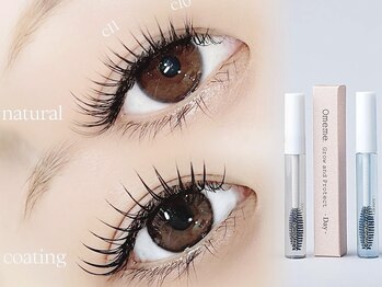 眉とまつげの専門店 ソラ(sora)/【フラットラッシュ】