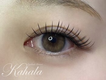 アイラッシュリゾートカハラ 国立店/カシミヤフラットラッシュ