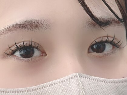 メルシー(Merci)の写真