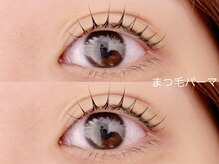 リノ(Lino)/立ち上げ×カール