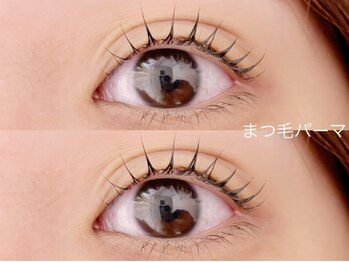 リノ(Lino)/立ち上げ×カール