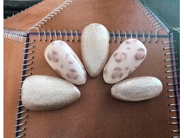 定額ジェルン2026[4-6月]