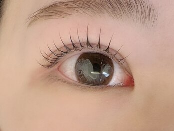 スリジエ(Cerisier)/