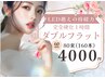 【モチ３倍束間★バインド】ダブルフラット　カラー80束（160本）￥4000均一